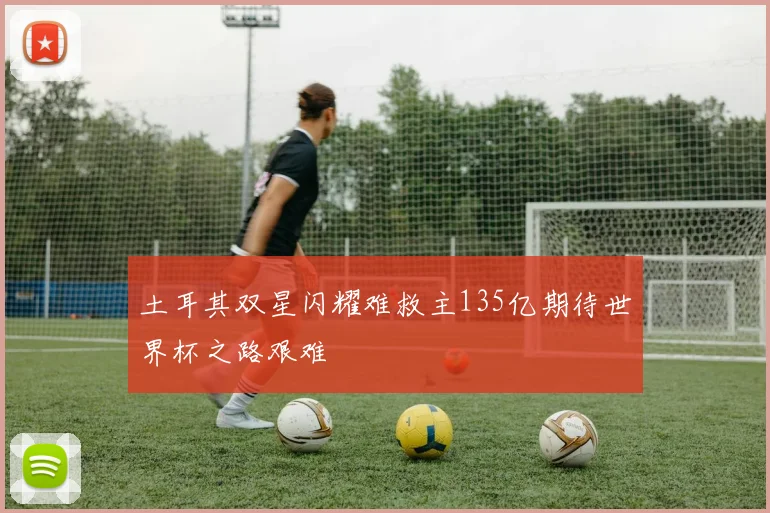 土耳其双星闪耀难救主135亿期待世界杯之路艰难
