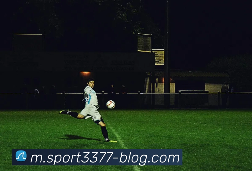 3377体育平台生态图